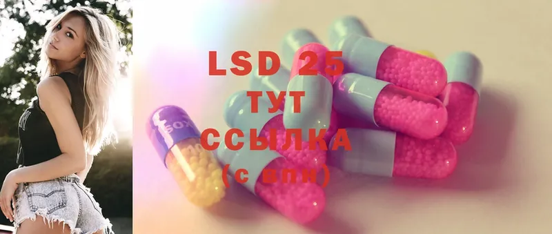 дарнет шоп  Нижнеудинск  LSD-25 экстази кислота 